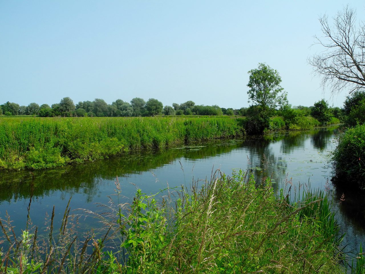 Riverside View