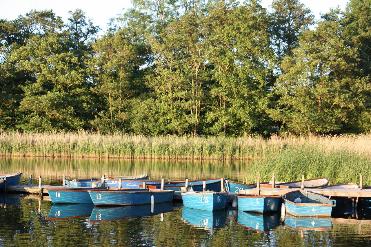 Rowing Boats On Filby Broad