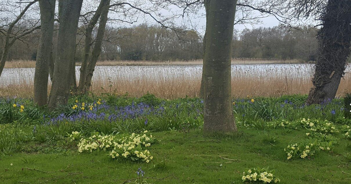 Waters Edge At Filby Bridge