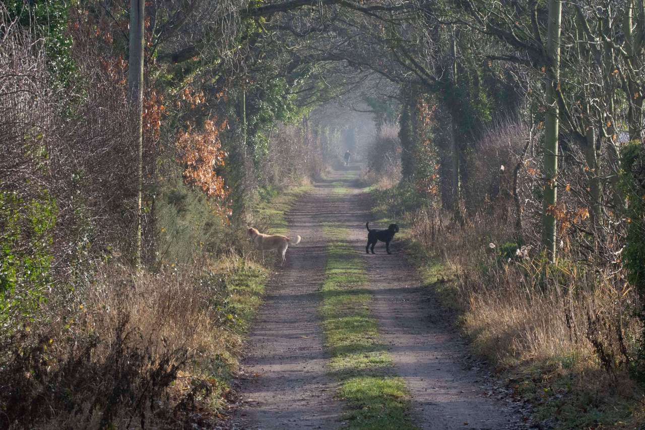 Fabulous Country Walks