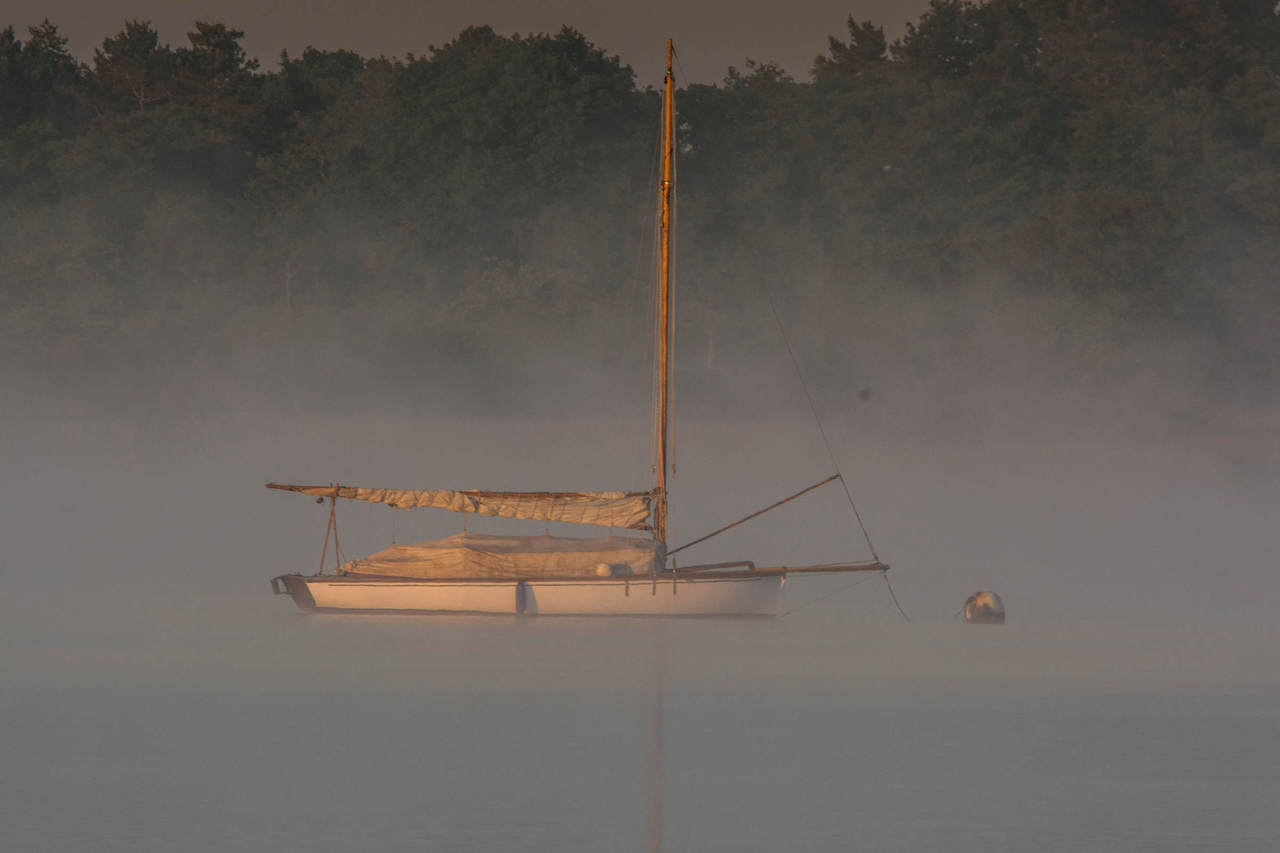 Misty morning on Hickling Broad