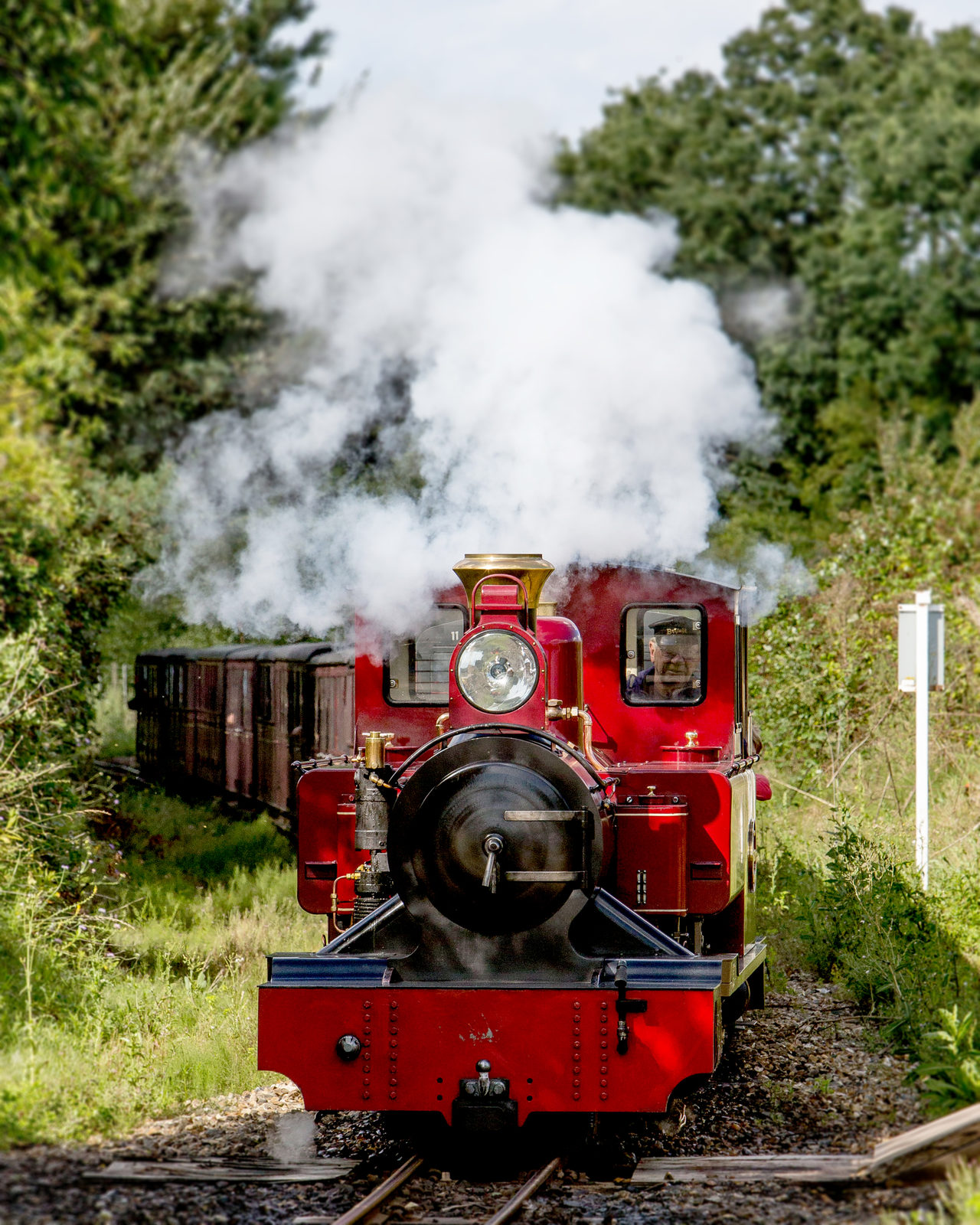 Bure Valley Railway 71 Copy