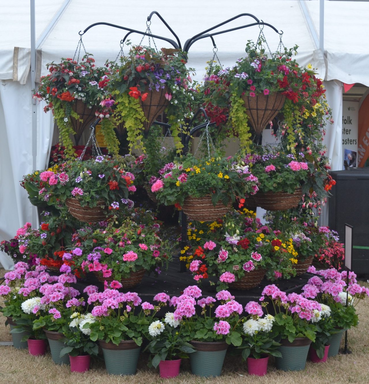 Hanging Baskets