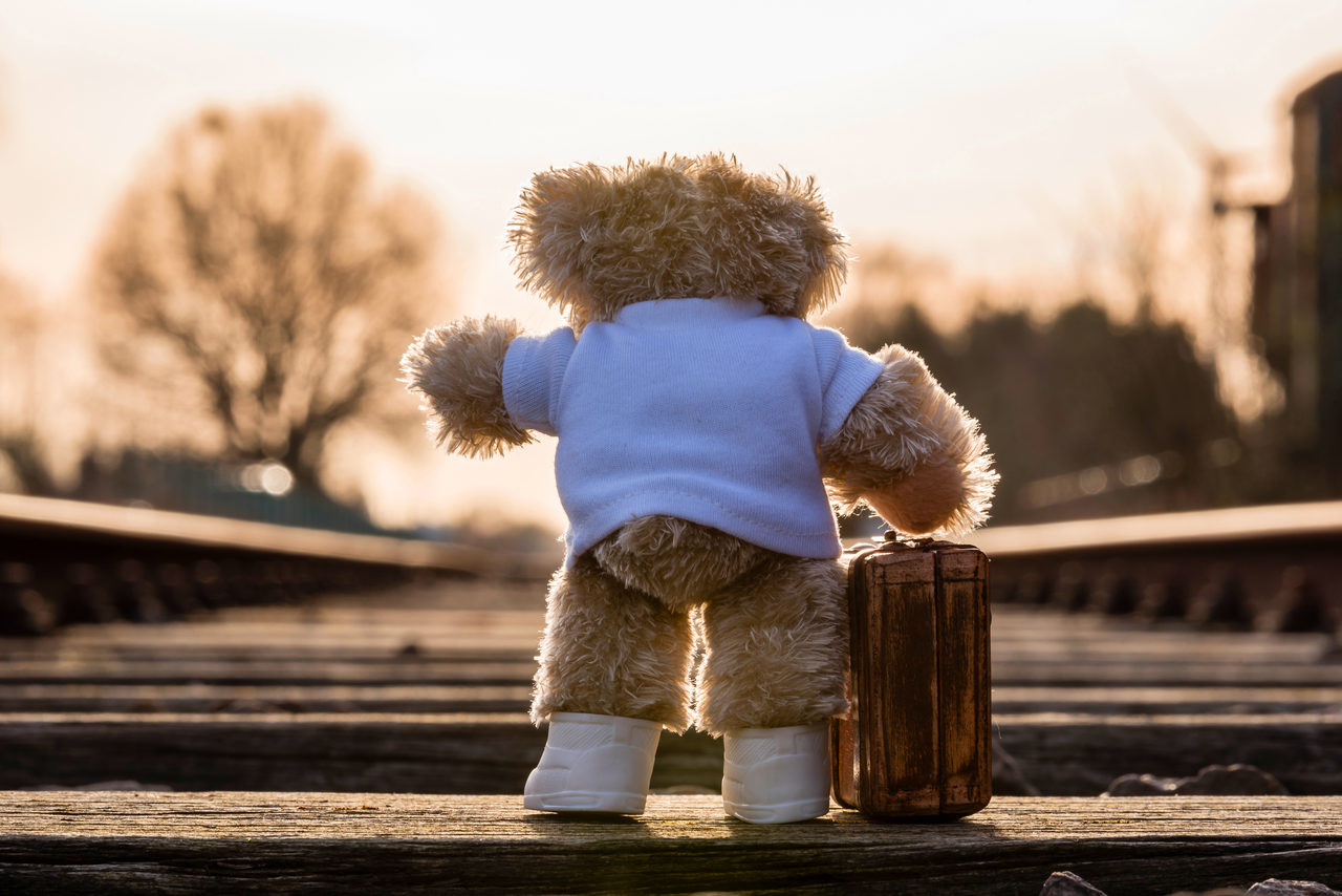 Teddy With Suitcase