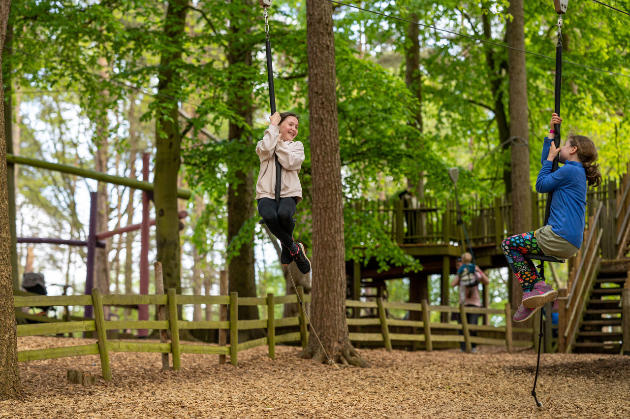 Reach for the trees at Bewilderwood